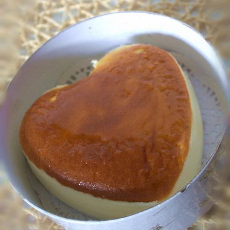 ����Cheese Cake������