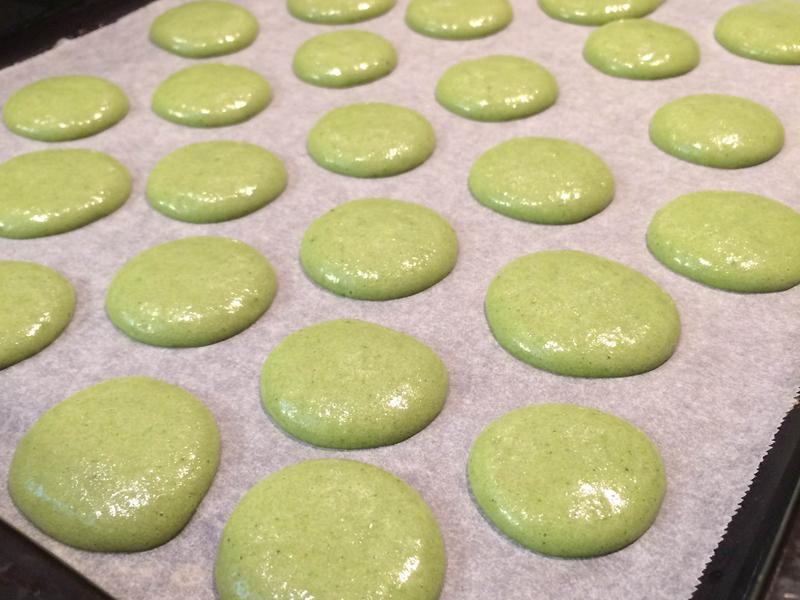 ��ʽ������������