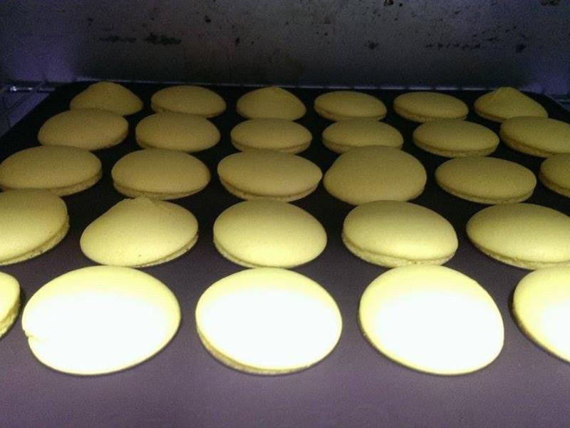 ��ʽ����������(����������)������