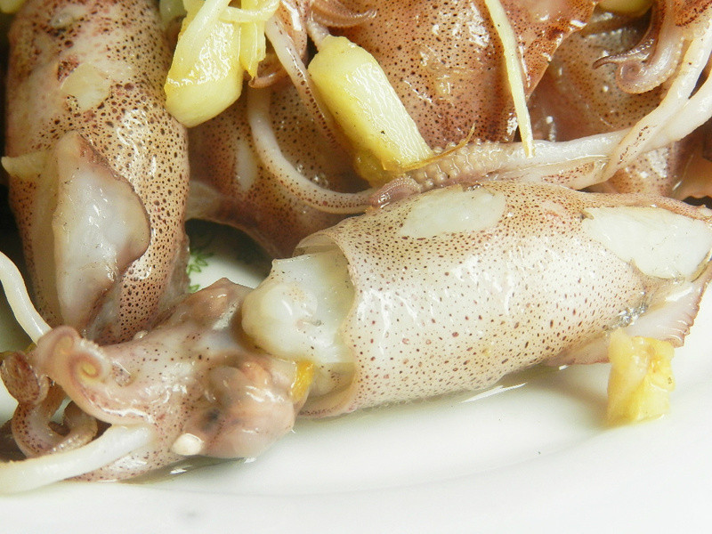 ��˿С��������