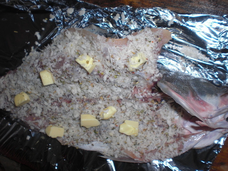 ��ʽ�㿾���������