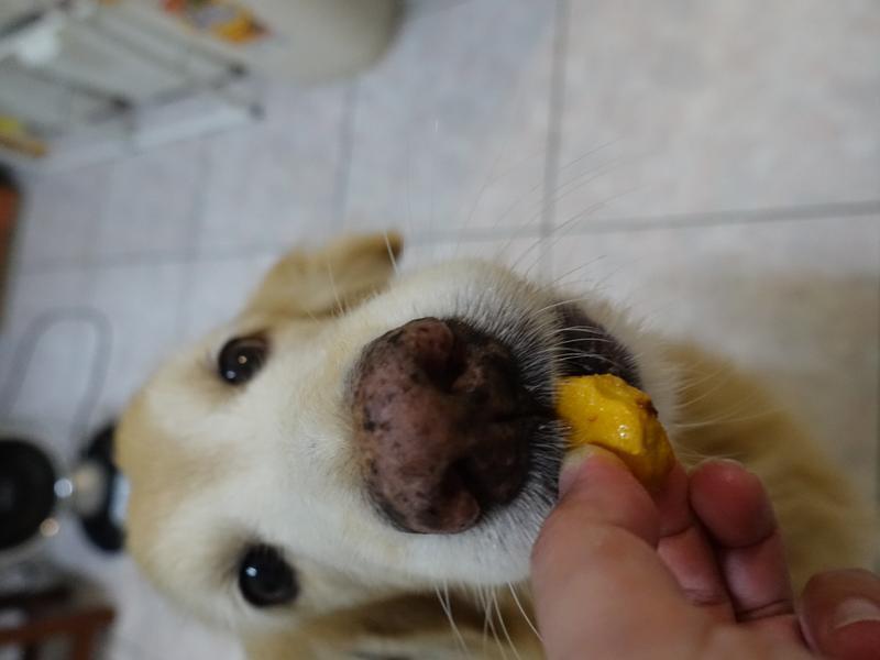 ������ʳ-������ɵ�����