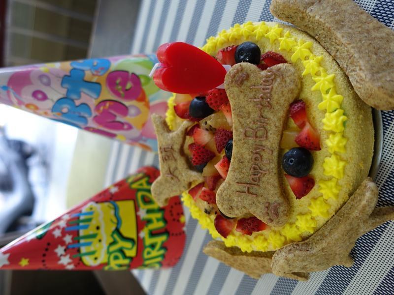 ������ʳ-������ɵ�����