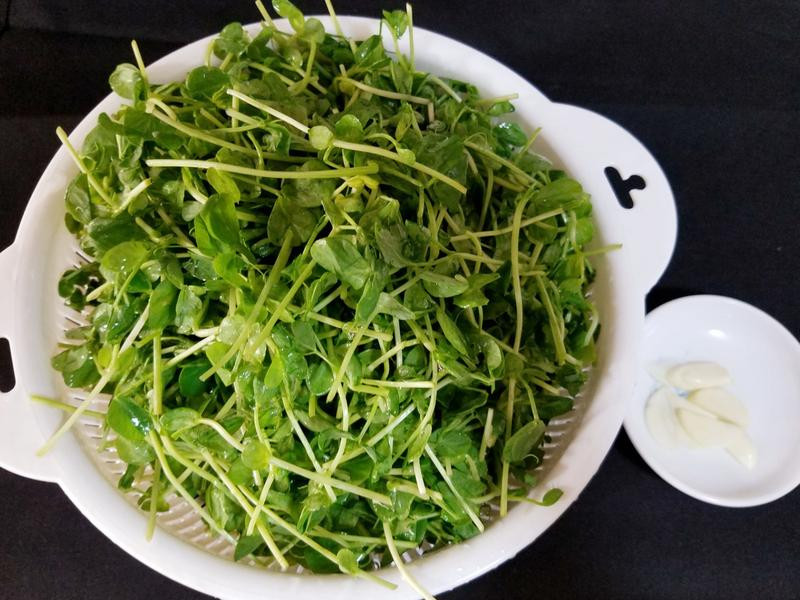 �峴С���������