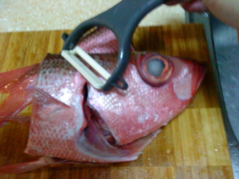 ������ζ����������