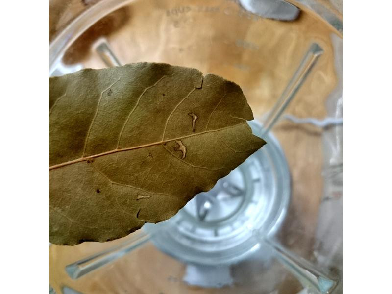 �׾����Ͽ���������