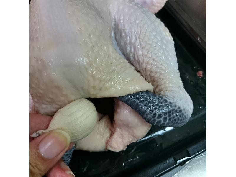 �׾����Ͽ���������