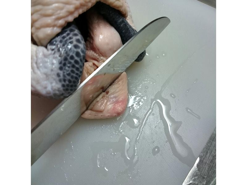 �׾����Ͽ���������