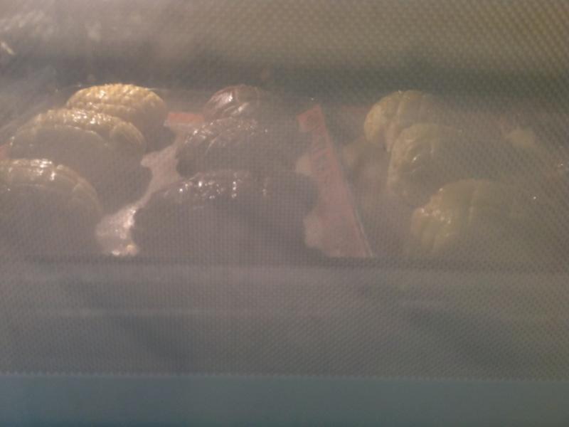 ���ɲ����������?!!!������