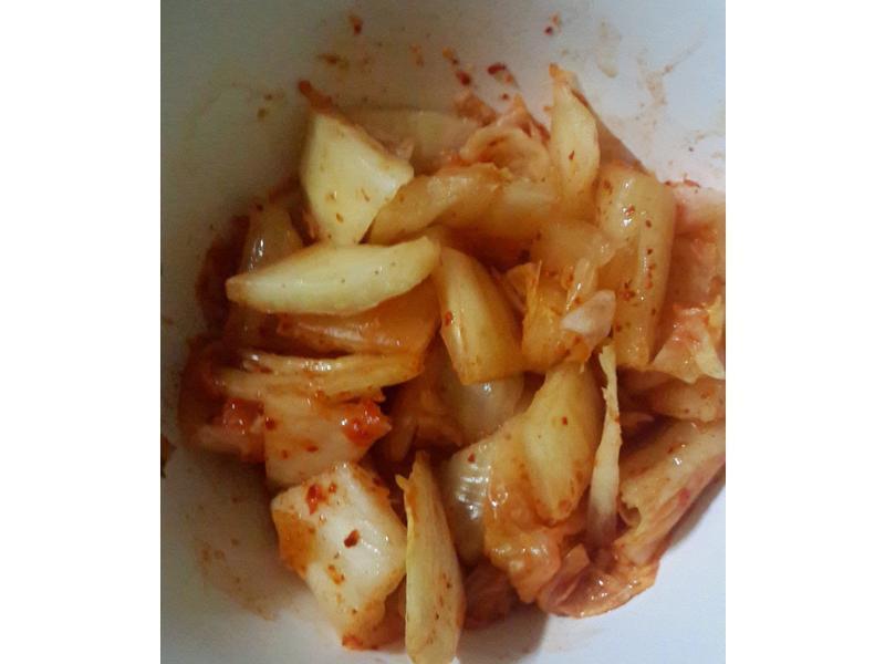 ��ʽ�ݲ˶���������