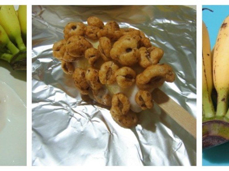 ������Ÿ����������