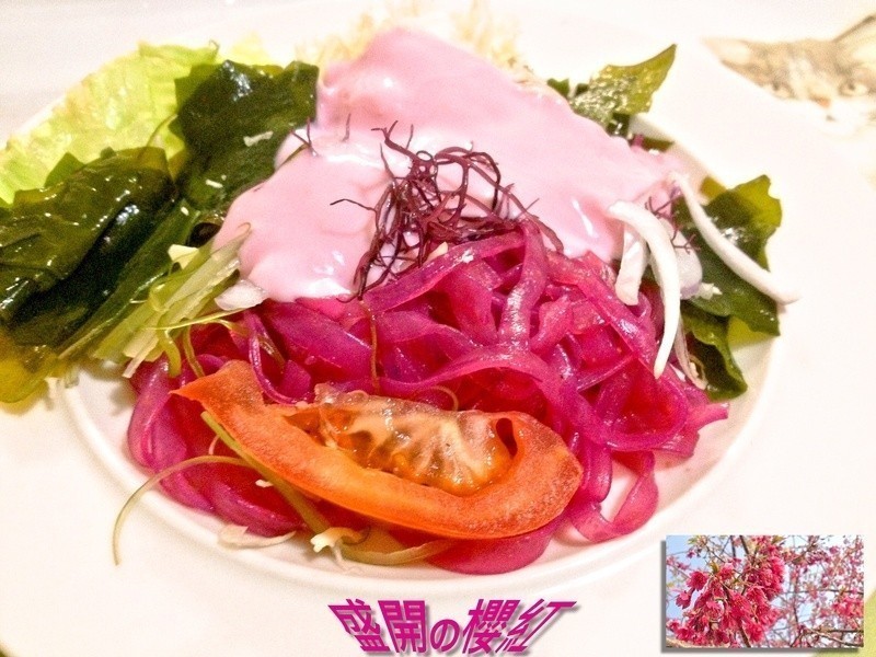 ������ʡ̼���չ�������ӣ���Ȫ ɳ��������