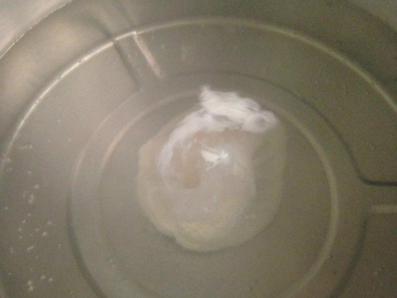 ��֬�������˵�( �����˽�֭)������