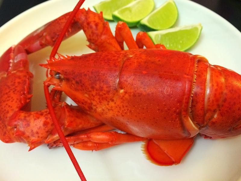 ��ʿ����Ϻ������