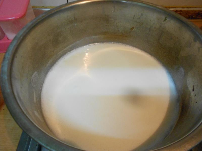 �ڷҵ����ӳ���--Ҭ��ѩ���������