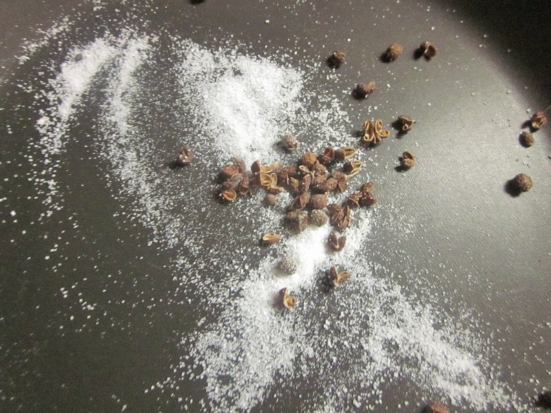 �����廨��-���15���ӵ�����