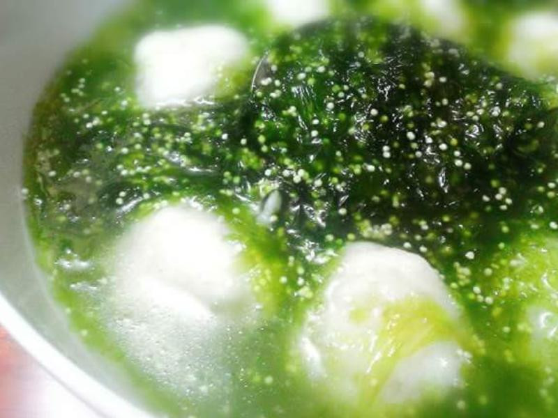 ���˷����ѻ�֦����������