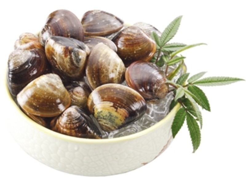 ��ʳ����ʳ�ס������������