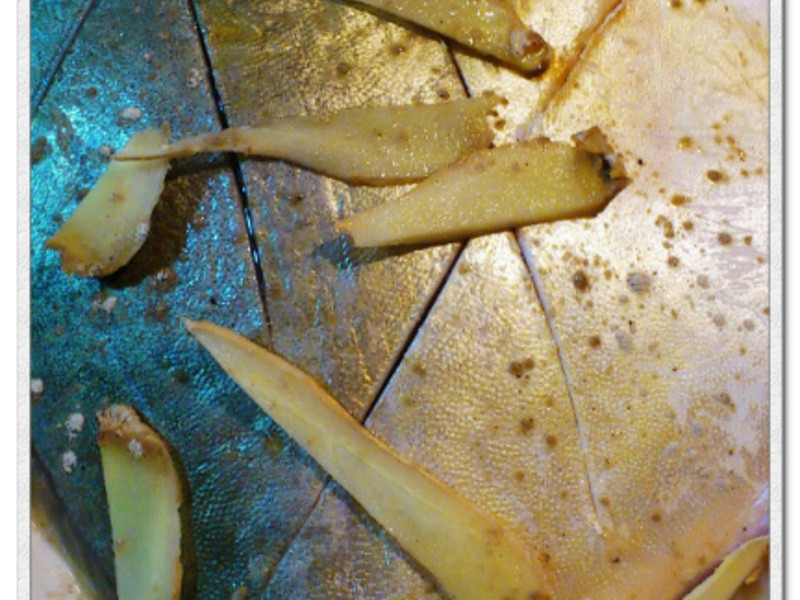 ����������ˡ����������������