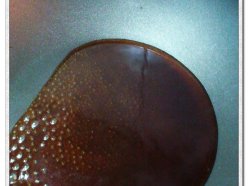 ����������ˡ����������������