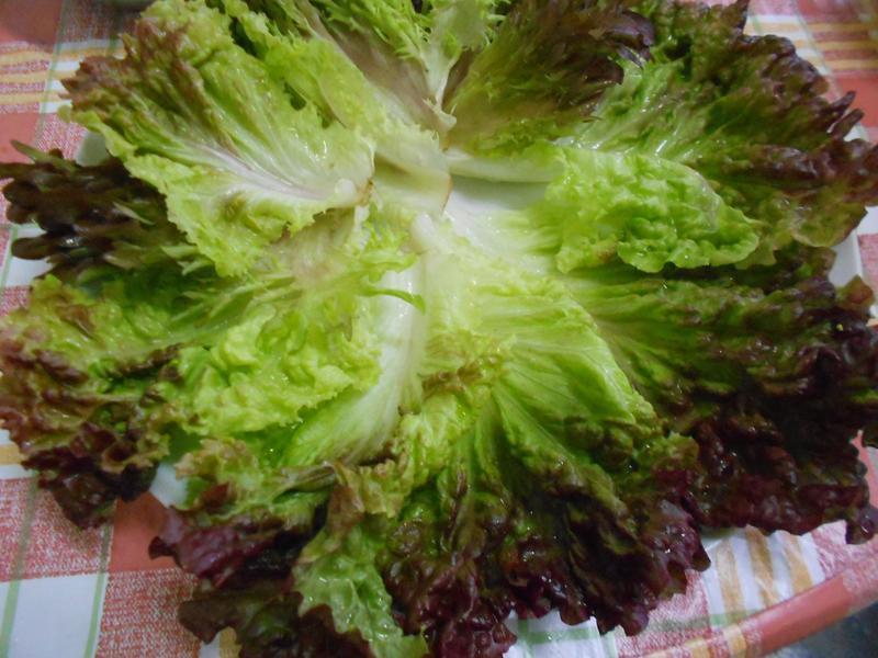 ����������ˡ�����ɳ��������