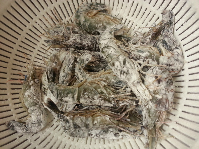 ���ֻƽ𵰻�Ϻ������