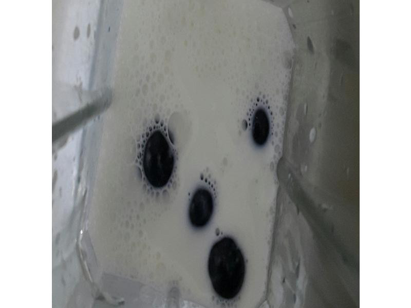 ����ţ����˾������