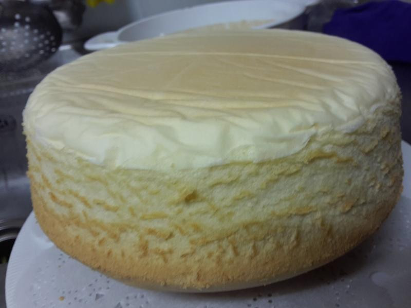 ���ͷ���ţ�̵��������