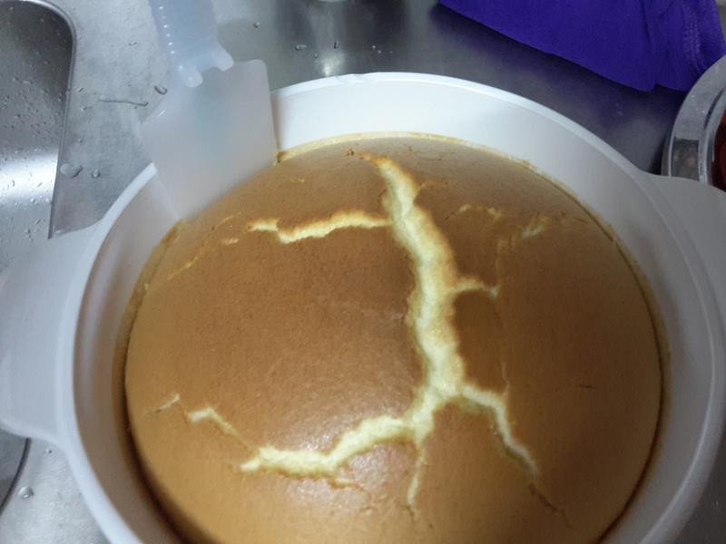 ���ͷ���ţ�̵��������