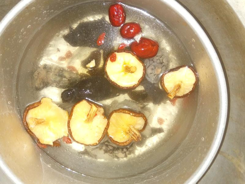 ����ͷ�������������