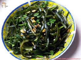 ���㺣��˿������