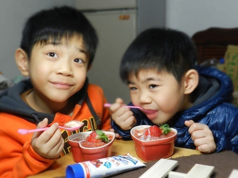 ��ݮ�ײ���~��ݮ�Ͱ�ӥ�����̵�����