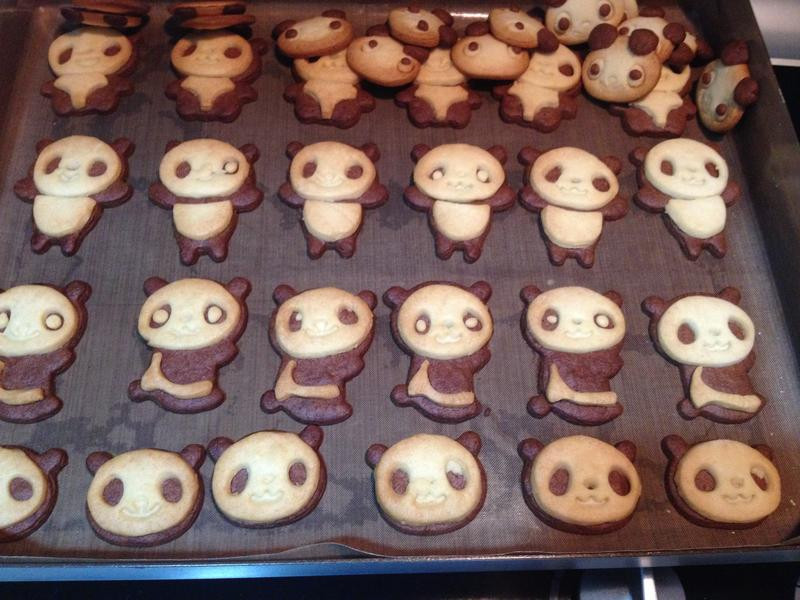 �ɰ���è���ɵ�����