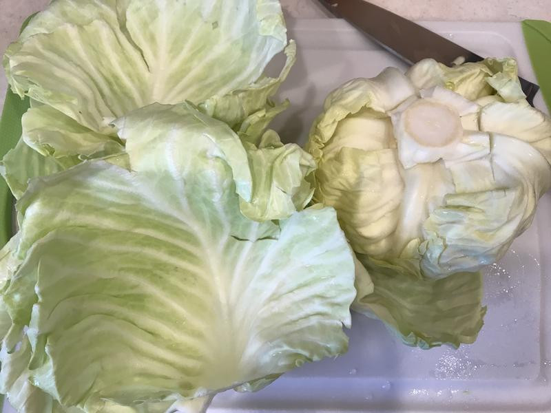 �yζ�����˾�������