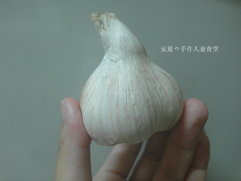 �����������������