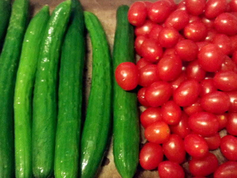 ÷��ެ��С�ƹϵ�����