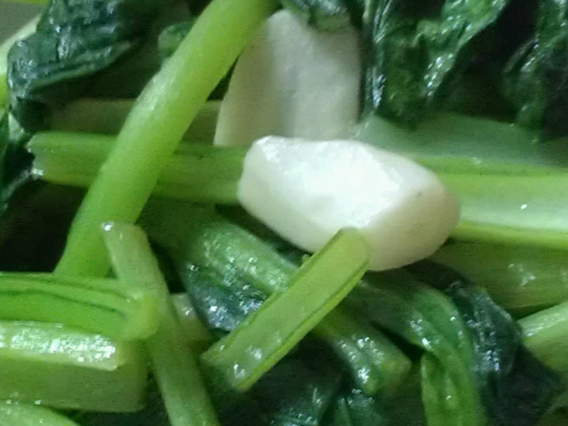 �⳴�Ͳ˵�����