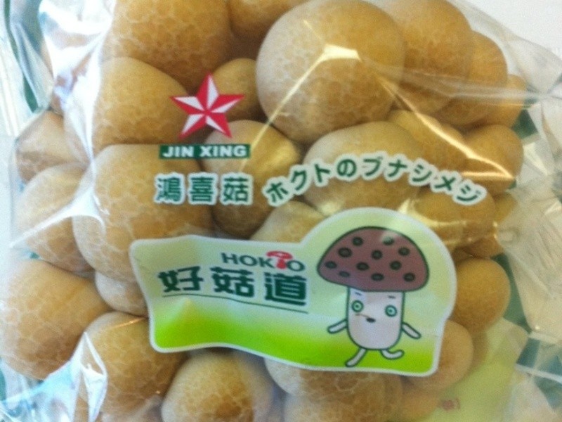 �ù�����idea-ɰ����ζ���Ʒ�������