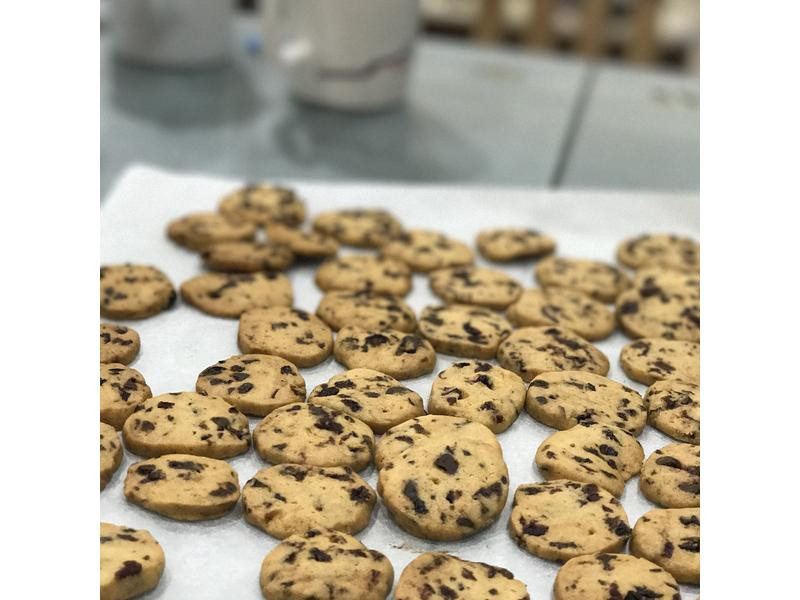 ��Խݮ���Ѹ��ɿ������ɵ�����