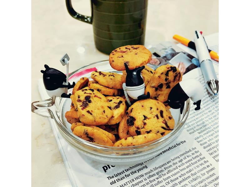 蔓越莓葡萄干巧克力饼干的做法