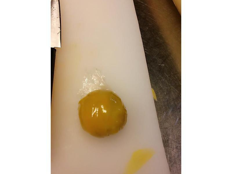 �ع�ţ�ⷹ������