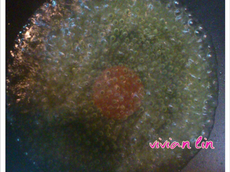 �Ȼ�����������