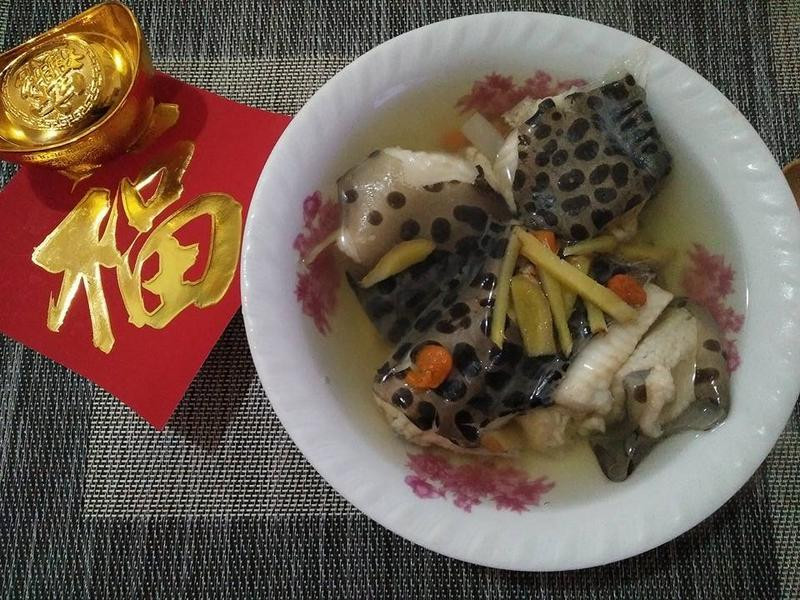 ��������Ϸ���������