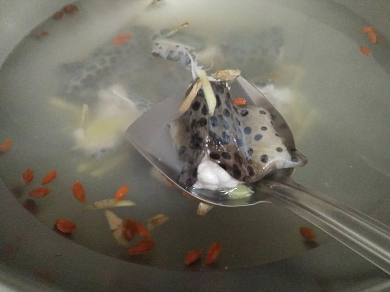 ��������Ϸ���������