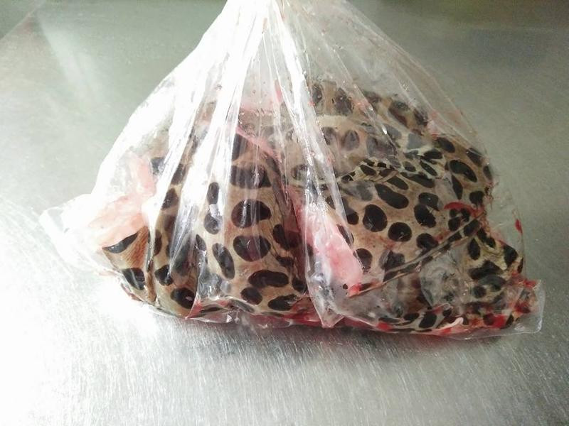 ��������Ϸ���������