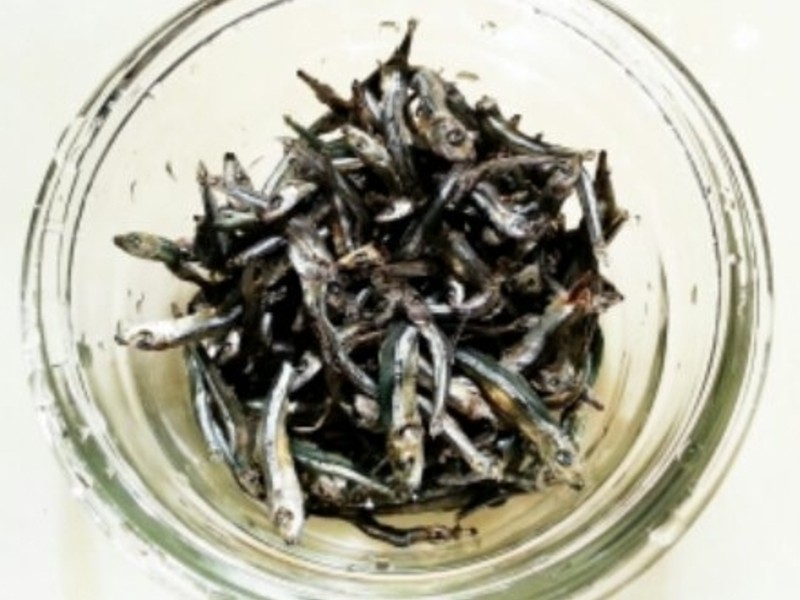 ��÷״Ԫ�´���÷�ࡵ֮ �����ƽ���������