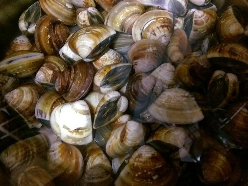 ���ˤ��Z���̸��۵�����