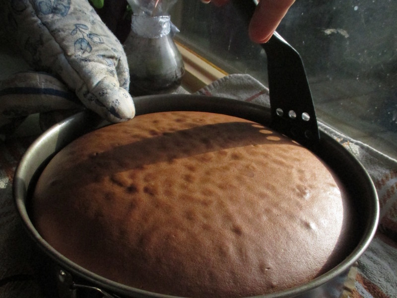 �Ѱΰ����������͵��������