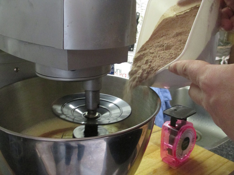 �Ѱΰ����������͵��������