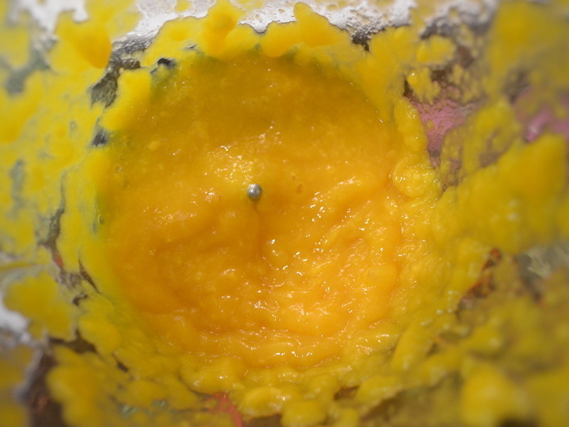 â��Ҭ֭���۵�����